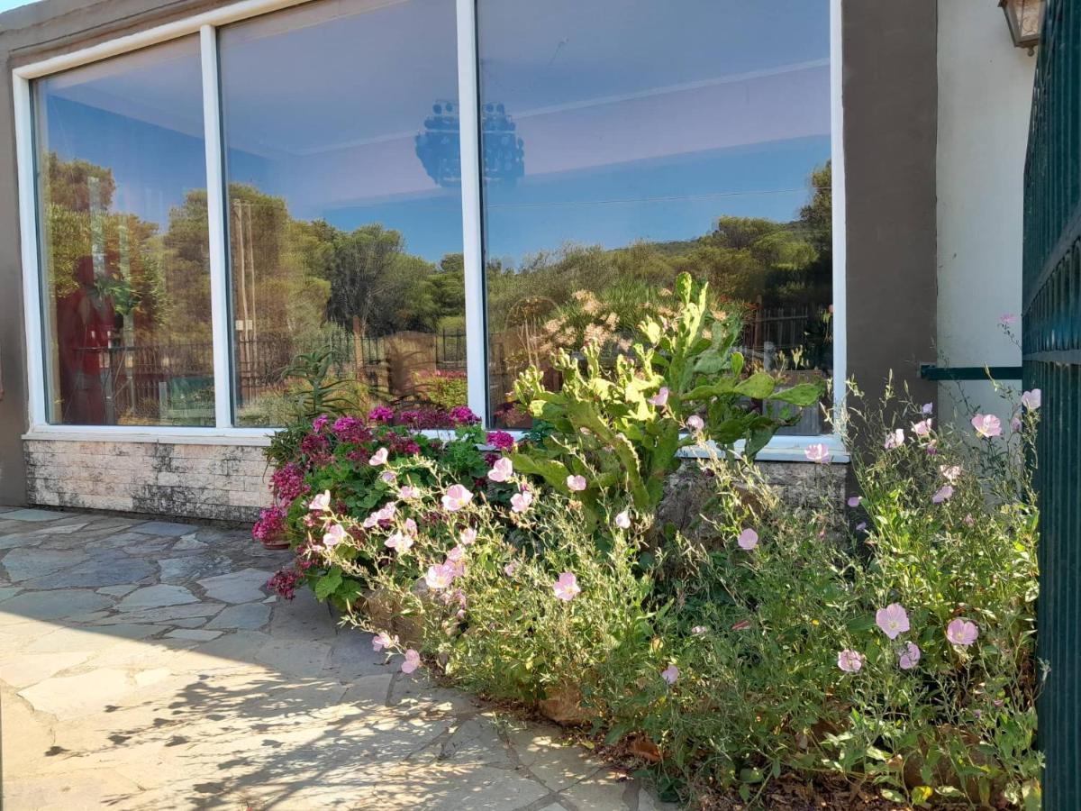 Paradise Dhaskalion 외부 사진